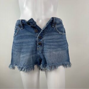 Abercrombie & Fitch Blue Jean Shorts